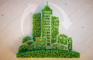 sustainability 1