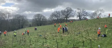 Volunteers plant hundreds of trees at Hillhead Quarry near Exeter.