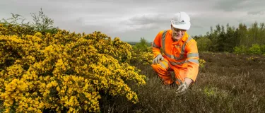 Aggregate Industries employee inspects local wildlife and flowers