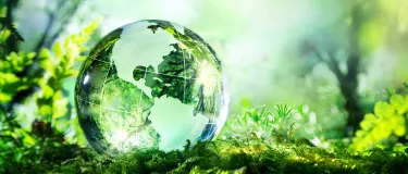Glass ball of earth in a green environment