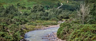 A stream running through green vegetation at Holcim UK's Glensanda Quarry in Western Scotland