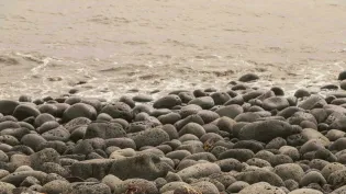 Pebbles on a beach leading into the sea