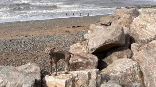 Aggregate Industries Rock Armour providing coastal defences at Rossall Beach in Lancashire