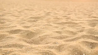 Sand stretching into the distance