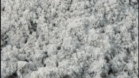 Cement in its original form