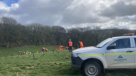 Volunteers plant hundreds of trees at Hillhead Quarry near Exeter.