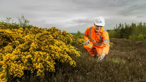 Aggregate Industries employee inspects local wildlife and flowers