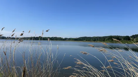 A new wetland and lake created at Newbold sand and gravel quarry at Barton-under-Needwood. It is part of a progressive restoration scheme at the site.