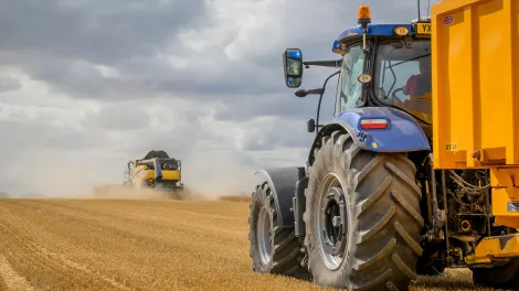Combine harvester in a corn field with a tractor and trailer