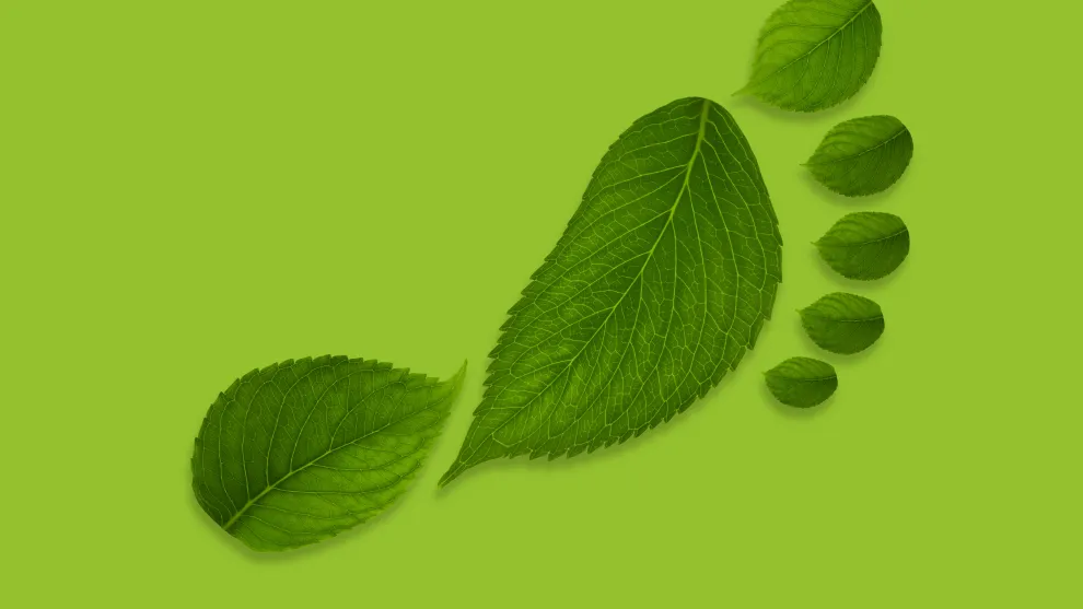 green-4_leaf_footprint.jpg