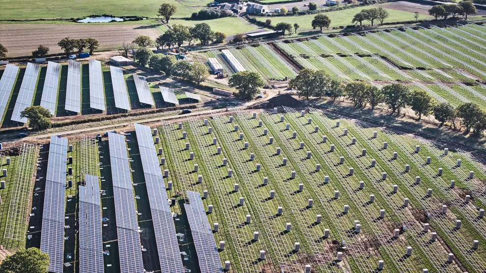 Fields of solar panels and solar panel frames