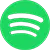 Spotify logo Icon