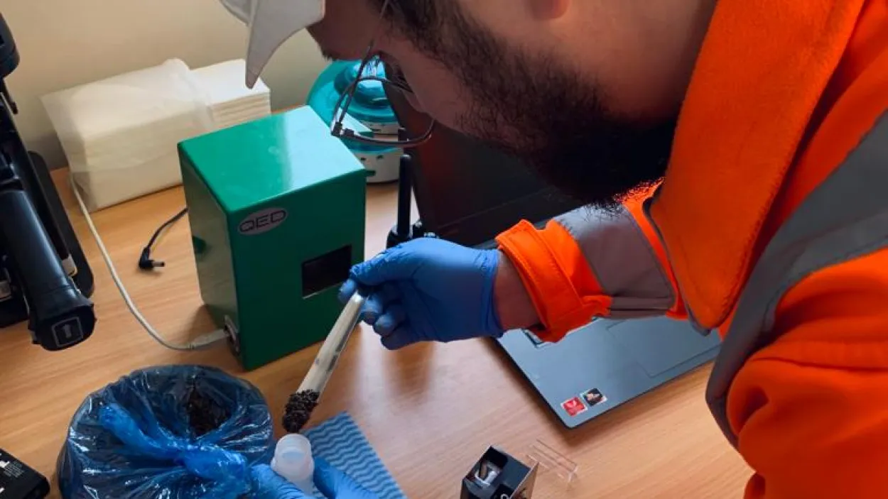 Worker in a lab testing a sample