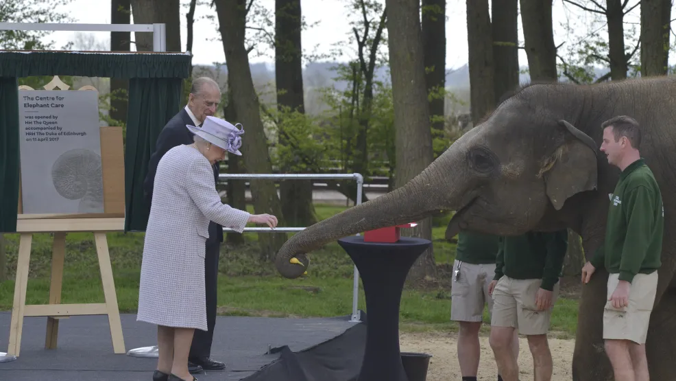 Queen greeting an elephant