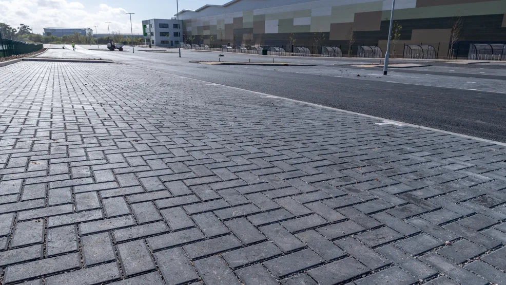 View of Pets at Home block paving