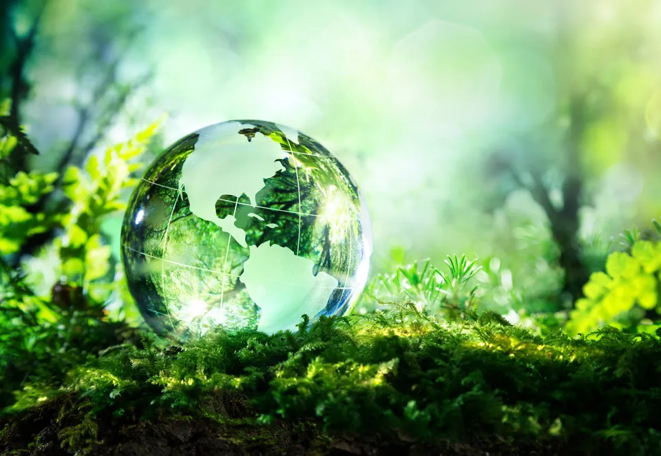 Glass ball of earth in a green environment