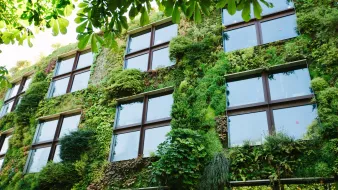 Sustainable building project green foliage outside concrete building