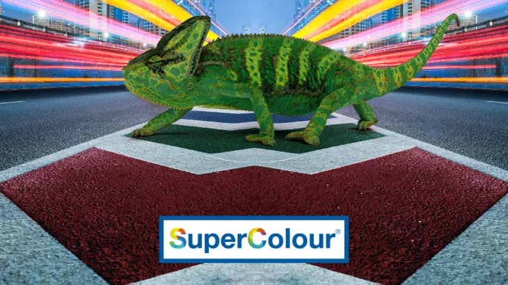 Supercolour Chameleon walking across a road