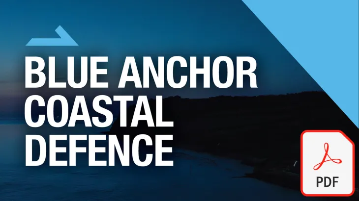 Download the Blue Anchor case study as a PDF