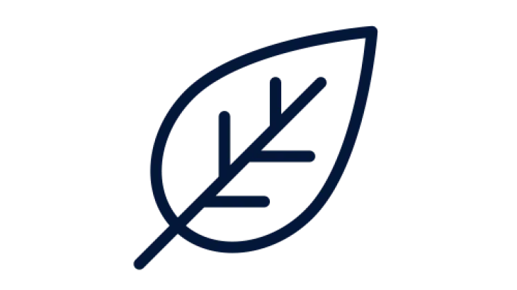 Icon of a Leaf