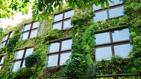 Sustainable building project green foliage outside concrete building