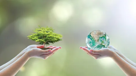 Tree and earth in hands