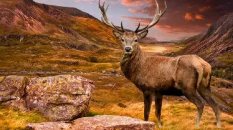 EPD and carbon calculations