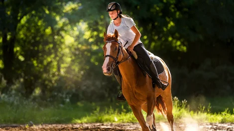 Horse and rider galloping through a forrest