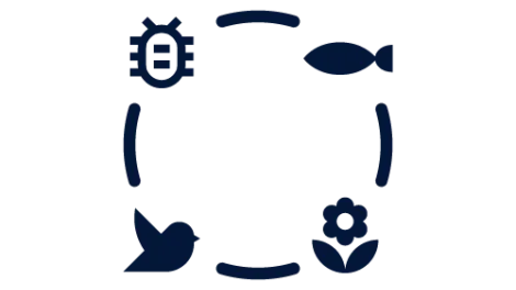 Icon showing natural bugs, fish, birds and plants