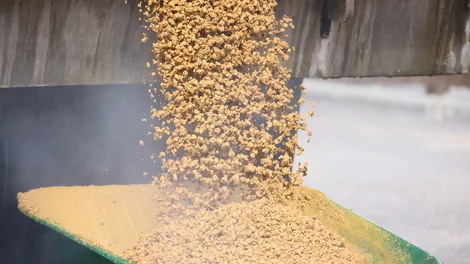 A close up of Supercolour Ultra Buff being tipped from a truck into a wheel barrow at Paultons Park.
