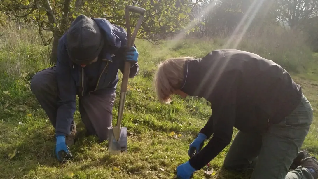 Community volunteers planting spring flowering  bulbs donated by Holcim UK 