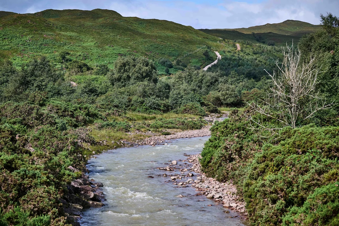 A stream running through green vegetation at Holcim UK's Glensanda Quarry in Western Scotland