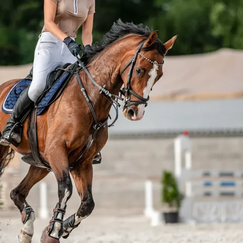 Horse and rider galloping across sand