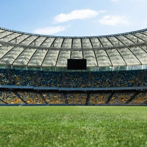 Large Rugby pitch within a stadium