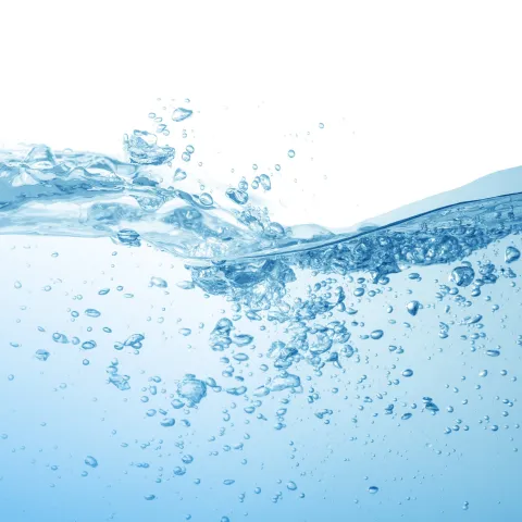 shutterstock_2334703683_rapid-filtration.jpg