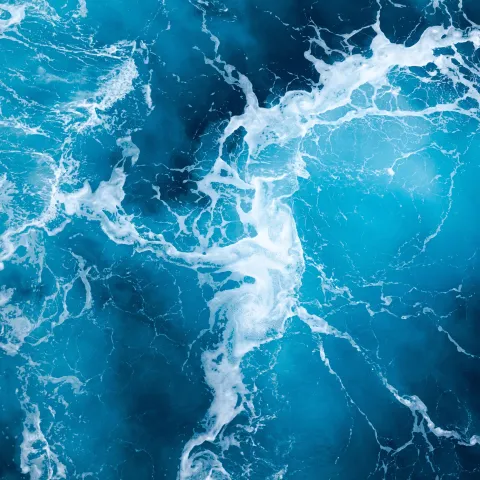 shutterstock_2460168659_rapid-filtration.jpg