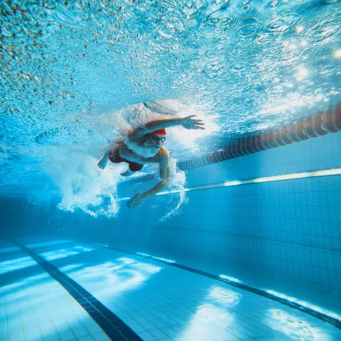 shutterstock_2468362973_swimming-pool-filter.jpg